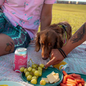 A dog eating grapes and cheese while enjoying Hibiscus Ginger Sparkling Water