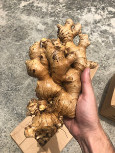 Fresh hand of ginger from Puerto Rico